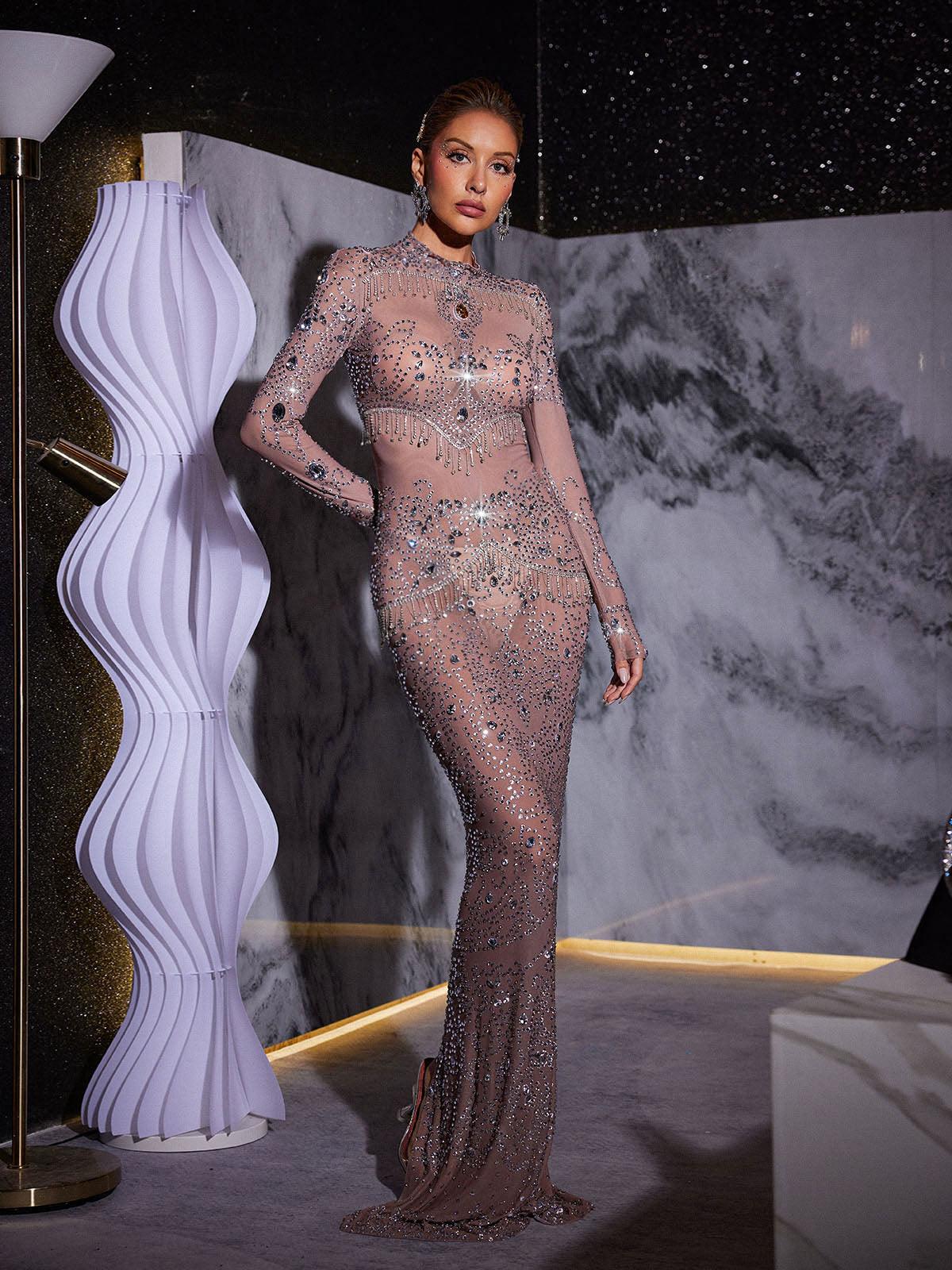 Alonzo Rhinestone Fringe Mesh Maxi Elbise