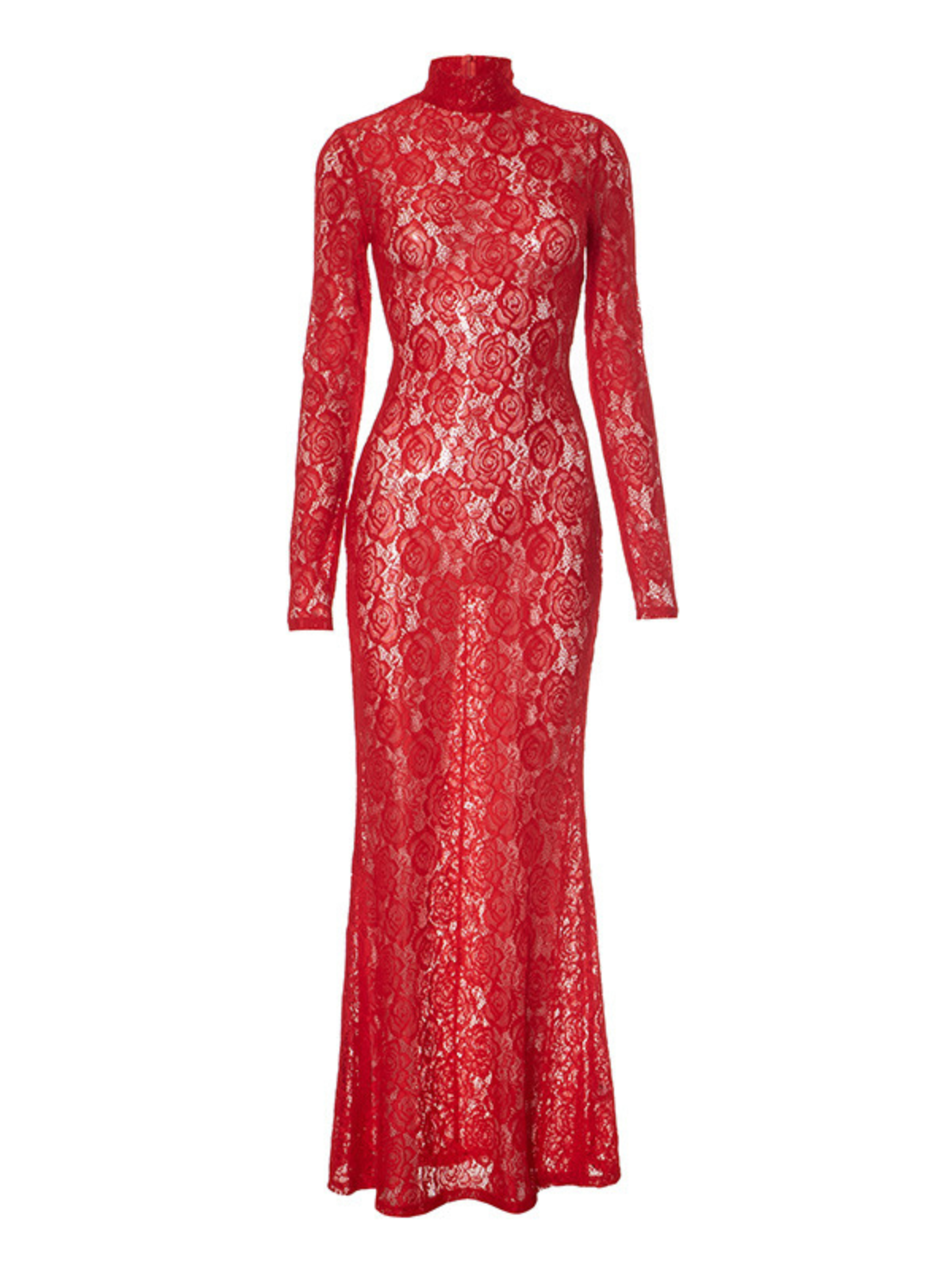 Brysalis Uzun Kol Dantel Maxi Elbise
